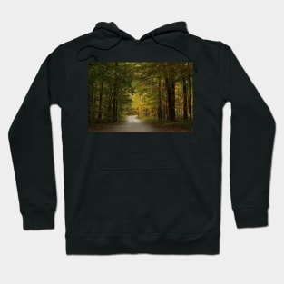 A Little Piece of Heaven Hoodie